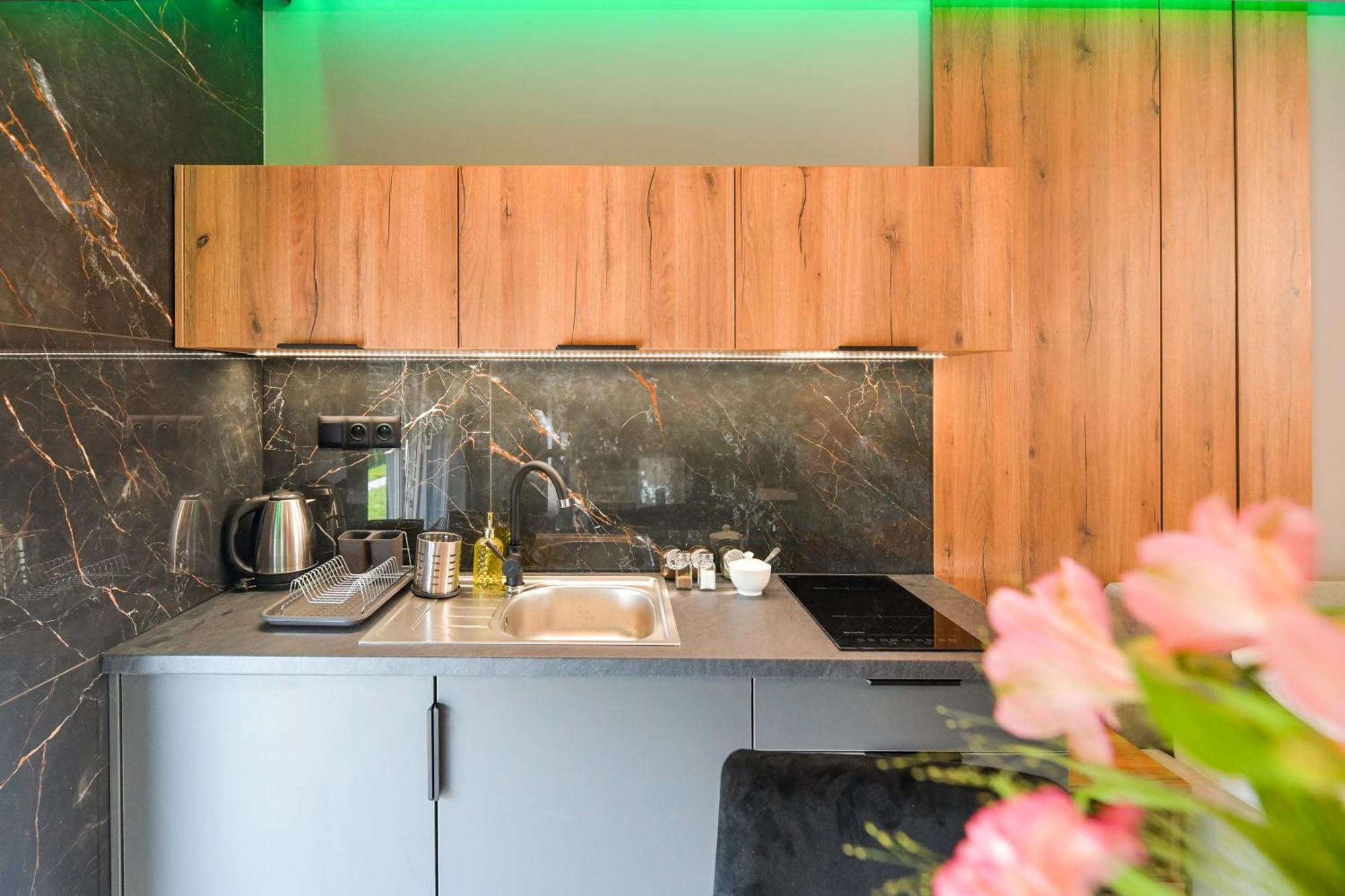 Słoneczne Wzgórze Apartament Zator