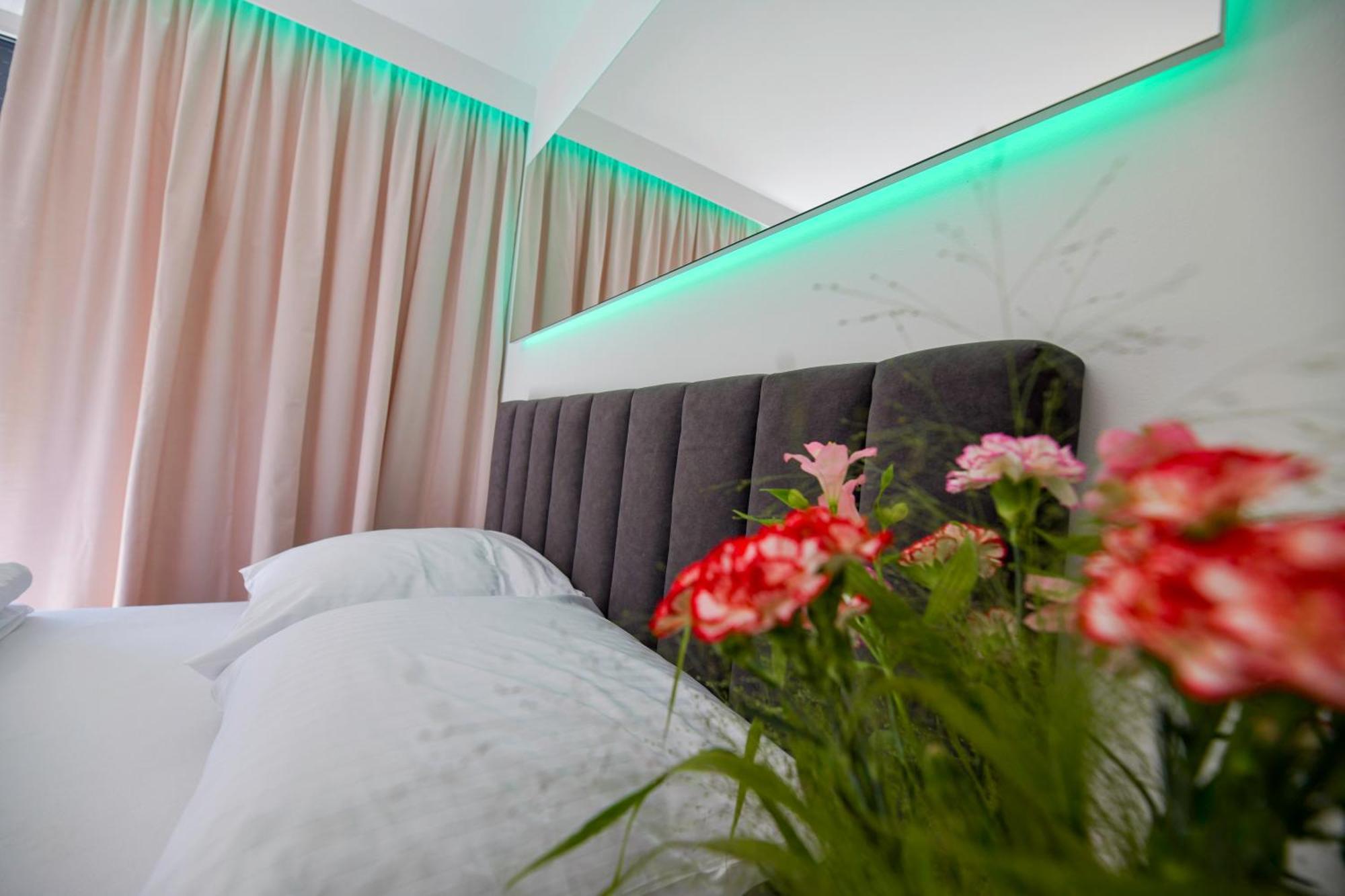 Słoneczne Wzgórze Apartament Zator