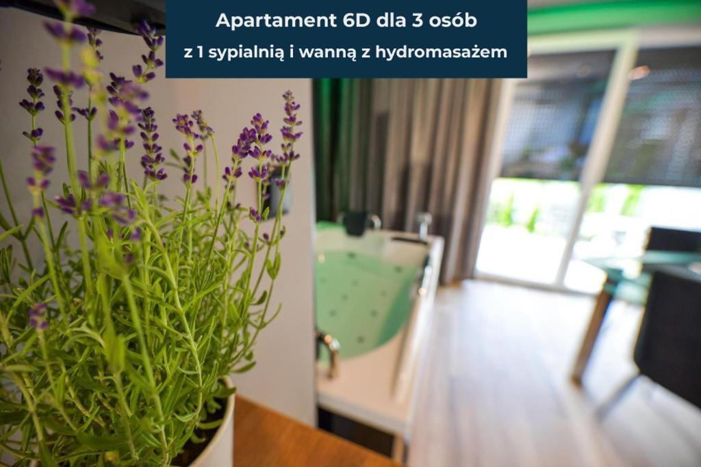 Apartamento Słoneczne Wzgórze *